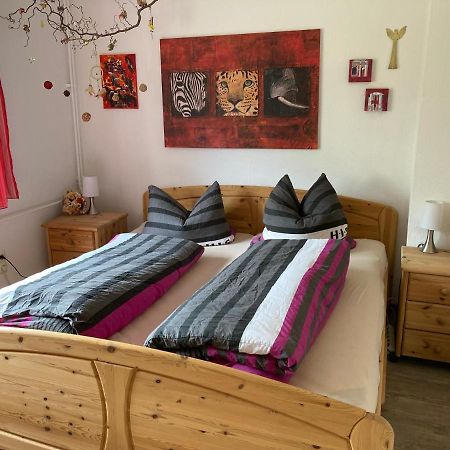 Ferienwohnung Zur Geigenbachtalsperre Poppengrun Экстерьер фото