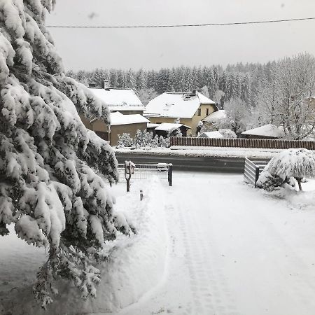 Ferienwohnung Zur Geigenbachtalsperre Poppengrun Экстерьер фото